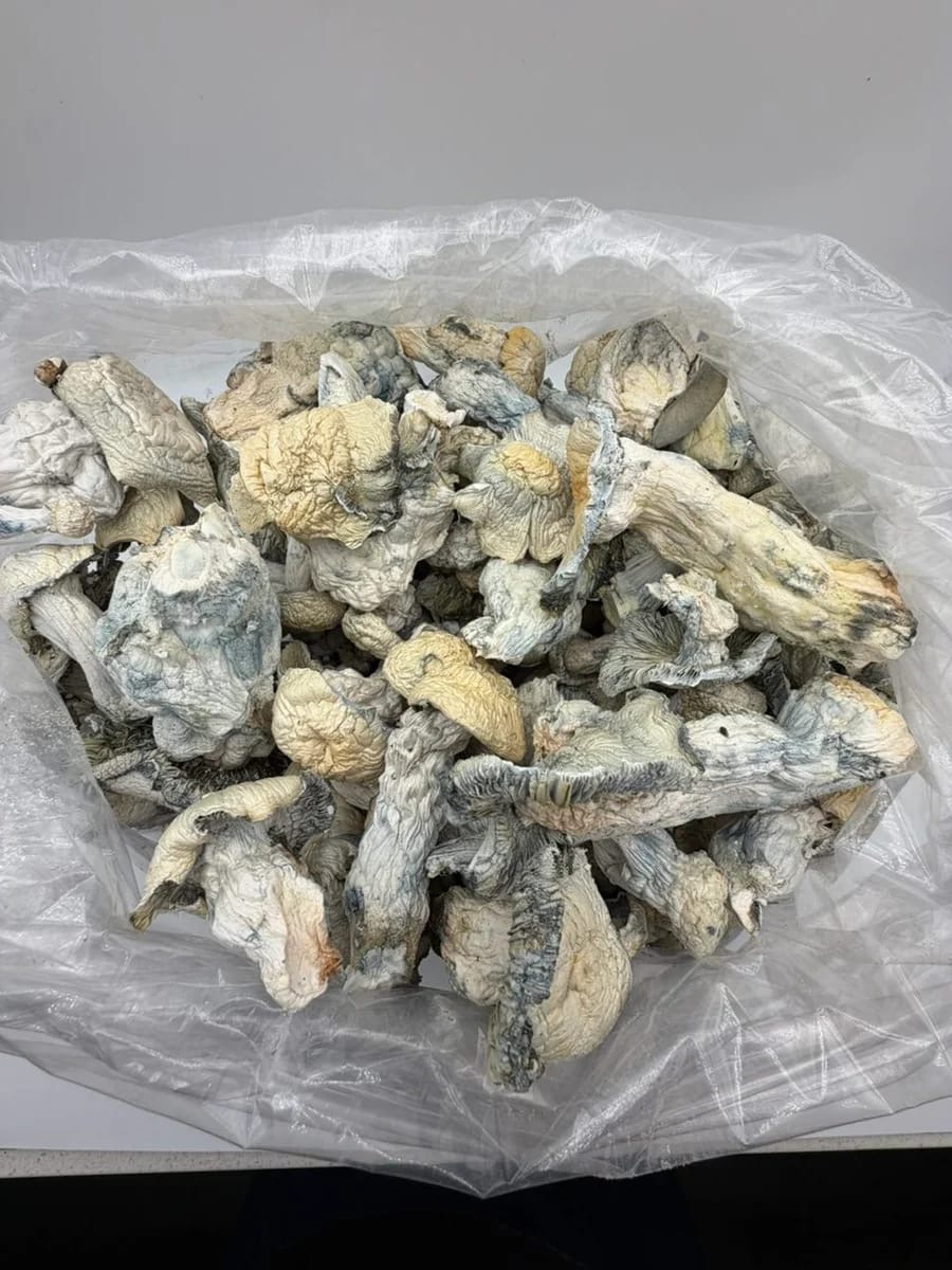 APE Mushrooms bulk mushroom product