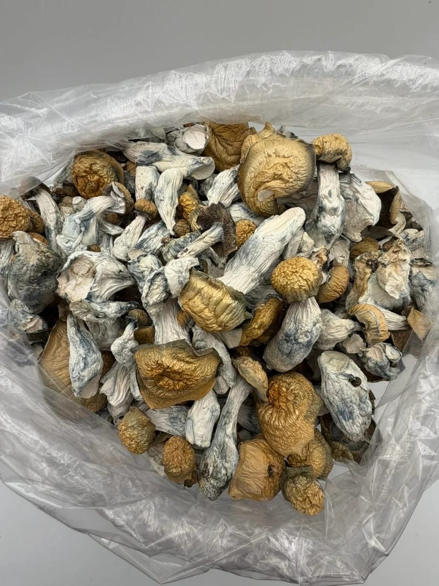 MG Mushrooms bulk mushroom product