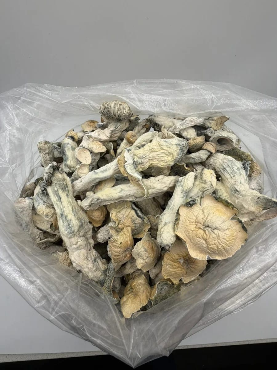WBM Mushrooms bulk mushroom product